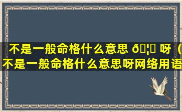 不是一般命格什么意思 🦅 呀（不是一般命格什么意思呀网络用语）